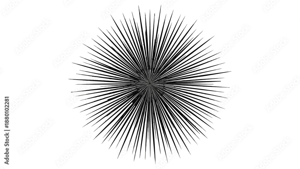 Obraz premium Black abstract radial pattern with sharp lines on white background.