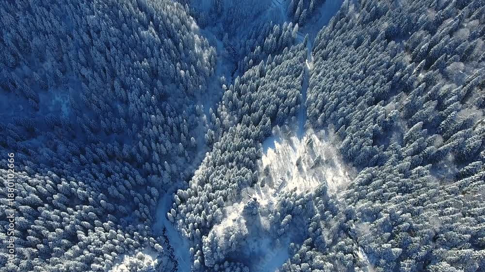 custom made wallpaper toronto digitalAerial winter valleys across snowy pine forests within remote Russian mountain landscape. Frozen terrain shows conifer trees, deep ravines, cold wilderness mood across distant ranges.