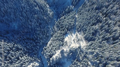 Wallpaper Mural Aerial winter valleys across snowy pine forests within remote Russian mountain landscape. Frozen terrain shows conifer trees, deep ravines, cold wilderness mood across distant ranges. Torontodigital.ca