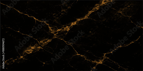 Abstract dark and light backgrounds merge with particles into a macro spiderweb pattern featuring morning dew drops and lightning textures for a nature network illustration