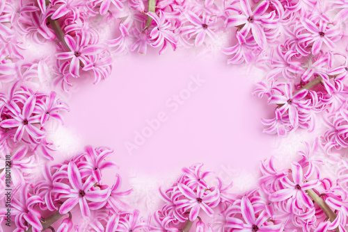 Pink flowers on a pink background. Hyacinth buds, reflections, haze, fog.
