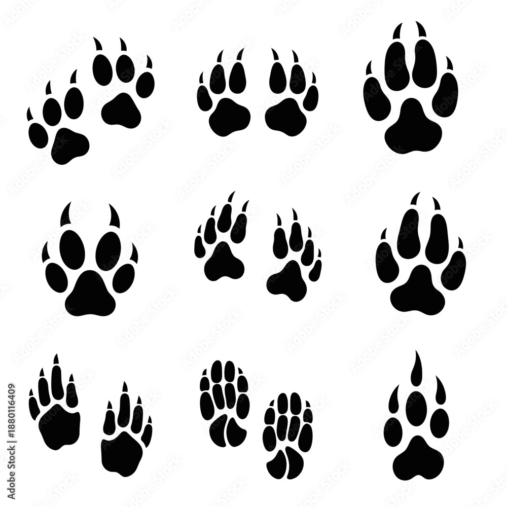 Fototapeta premium Diverse animal paw prints showcasing wildlife tracking, perfect for educational materials, nature guides, or conservation efforts, originally scalable vector graphic