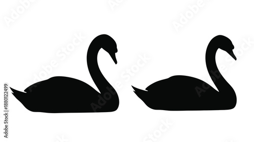 Two graceful swans swimming peacefully a striking black silhouette