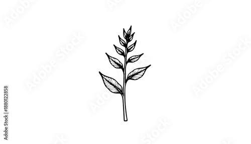 Zweige & Farne: Klare, vertikale Pflanzensymbole und einzelne Farnwedel mit hohem Schwarzanteil. Diese Motive wirken sehr modern und elegant auf Glas oder Metalloberflächen.KI Generiert