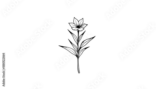 Symmetrische Wildblume: Eine schlichte Darstellung einer blühenden Pflanze mit einem geraden Stiel und spitz zulaufenden Blättern. KI Generiert