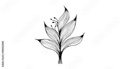 Geschwungene Blüte: Eine elegante, stilisierte Blume mit weichen Linien und feinen Schattierungen innerhalb der Blätter, die eine dynamische und organische Form erzeugt. KI Generiert