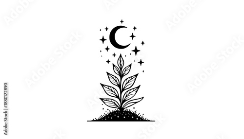 Mystische Pflanzen: Illustrationen von Gewächsen kombiniert mit Mondsicheln und Sternenstaub.KI Generiert