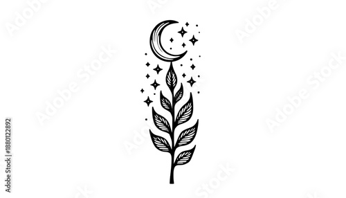 Mystische Pflanzen: Illustrationen von Gewächsen kombiniert mit Mondsicheln und Sternenstaub.KI Generiert