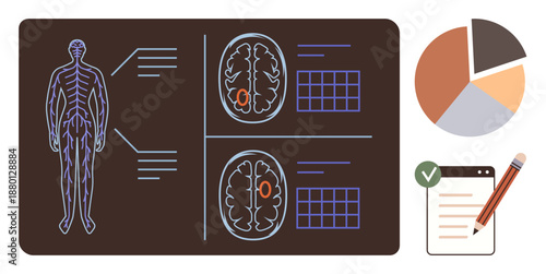 Healthcare, neurology, diagnostics, treatment planning, statistical analysis, research. Diagram of the human nervous system with brain scans and data charts. Neurology and diagnostics concept
