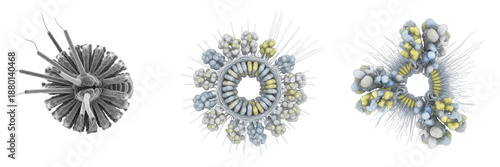 Quadro em tela Cell Proteoglycan Vesicle Membrane-Bound Organelle Transporting Proteoglycans fo