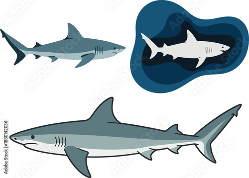 Shark clipart collection in different poses with coral and bubbles