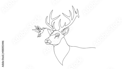 Continuous one line art illustration of a majestic stag with a hummingbird flying near its antlers