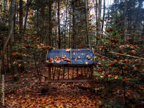 A wooden animal feeder covered with fallen leaves stands deep in a colorful autumn forest