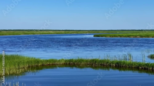 Wallpaper Mural Expansive Tranquil Blue Lake Surrounded by Lush Green Flora Under Clear Sky on a Sunny Day. Seamless looping 4k video background  Torontodigital.ca