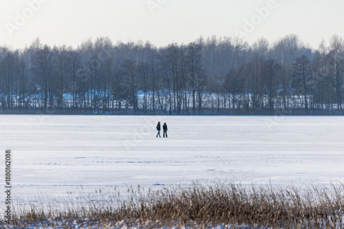 Winter Walk on Ice