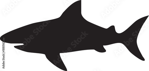 A silhouette of a black shark vector illustration isolated on white depicts a wild marine predator swimming through the blue sea as a dangerous underwater animal in nature