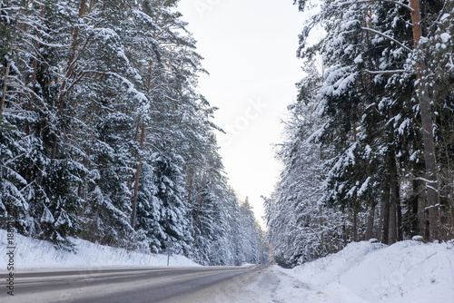 Winter Road Through Forest