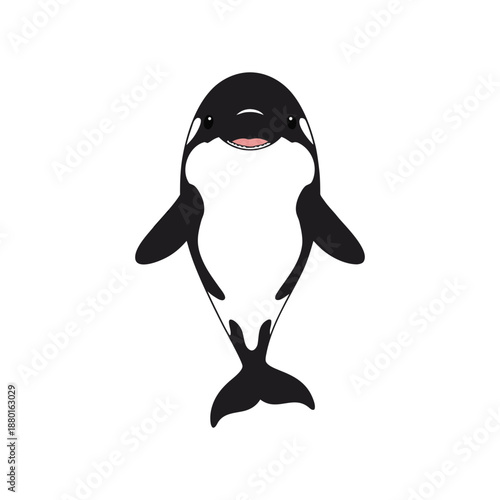 Playful orca illustration with a happy expression, perfect for educational materials, children's books, or ocean conservation campaigns