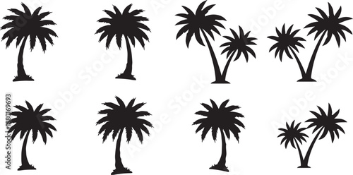 Black palm tree silhouettes on white background, various shapes and sizes, tropical feel silhouette