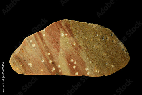 Kalmarsund Sandstone with Worm Hole Trace Fossils, Burrows of Marine Animals from the Lower Cambrian Period, found in Oppelhain, Lower Lusatia, Germany
