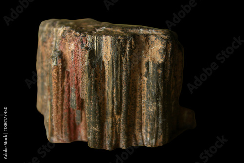 Petriefied Wood Cordaites from the Kyffhäuser in Germany, Fossil from the Permian Period
