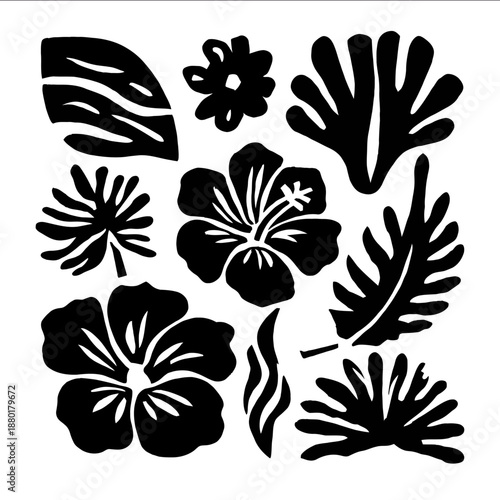 FLASH SHEET matisse cut outs tyle HIBISCUS cave paintings isolated white background