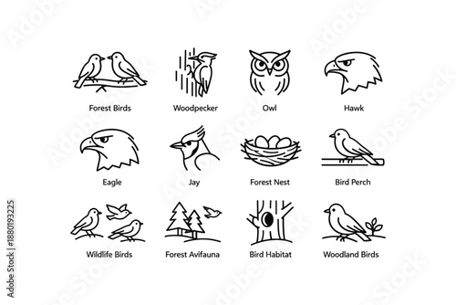 Forest birds icons: woodpecker, owl, hawk, eagle, jay, nest, perch, wildlife