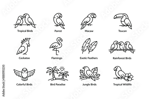 Tropical and exotic bird line icons featuring parrot, macaw, toucan, and cockatoo