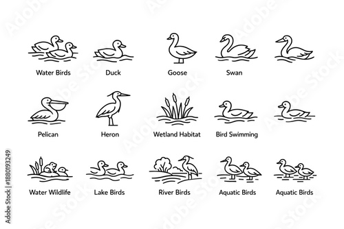 Line art of various water birds and wetland wildlife icons