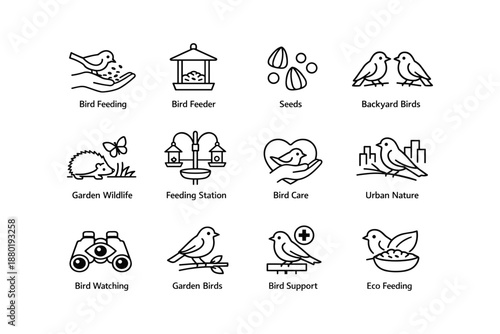 Bird feeding and care icons highlighting backyard and urban wildlife