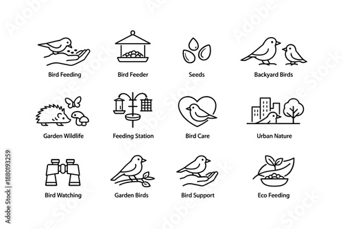 Bird feeding and care icons: feeder, seeds, eco-friendly, garden wildlife, bird watching