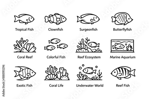 Line art illustrations of tropical marine life and ecosystems