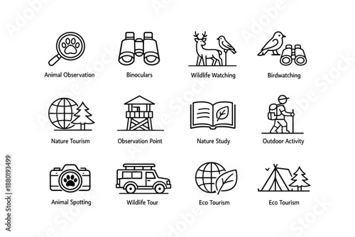 Wildlife and nature tourism icons: observation, hiking, birdwatching, eco tourism