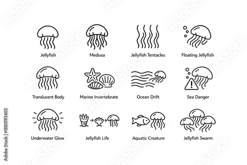 Black and white jellyfish icons: medusa, tentacles, marine invertebrates