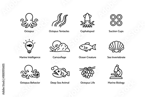 Illustrated marine animals and elements including octopus and squid icons