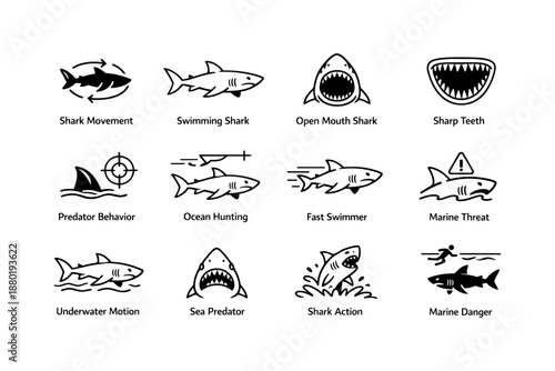 Shark icons set: movement, swimming, teeth, predator behavior, ocean hunting