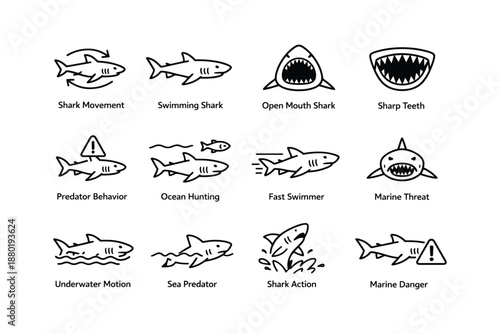 Shark behavior icons: movement, hunting, threats, and safety warnings