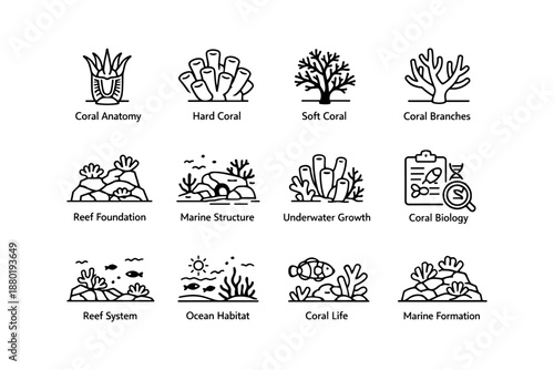 Coral icons set: anatomy, hard, soft, branches, reef, marine biology, underwater ecosystem