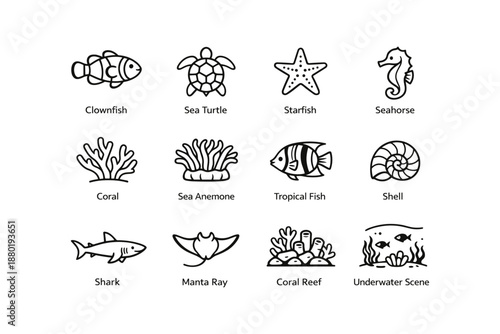 Aquatic icons: clownfish, sea turtle, starfish, shark, coral reef, tropical fish, seahorse
