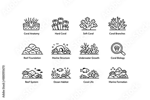 Marine coral illustrations featuring reef systems and underwater growth