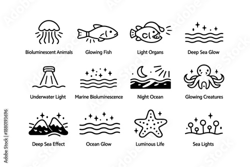 Bioluminescent creatures: glowing fish, jellyfish, and marine life