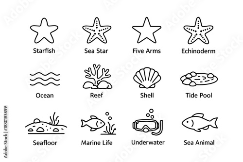 Marine icons: starfish, ocean waves, coral reef, shells, tide pools, fish