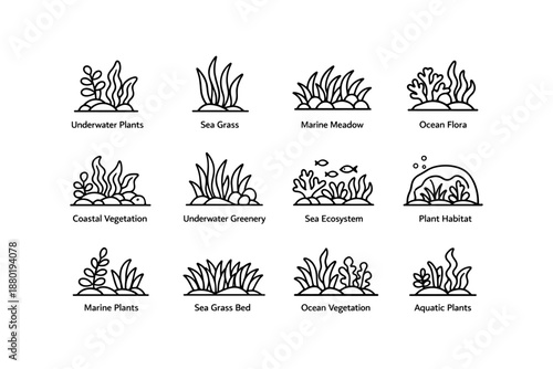 Marine vegetation icons: sea grass, underwater plants, ocean flora, aquatic ecosystem