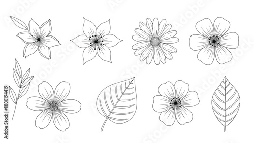 Diverse assortment of hand drawn flower blossoms and leaves in a detailed black and white line art style for decorative use.