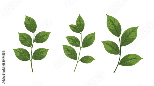 Trio of green leafy branches or sprigs with detailed veins and realistic shading, presented in a clean and natural illustration style.