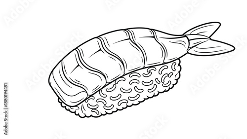 Ebi or cooked shrimp nigiri sushi line art illustration showing the textured prawn on a bed of rice, isolated on a white background.