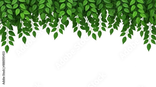Wallpaper Mural Lush Green Foliage Border - A Natural Frame for Your Designs. Torontodigital.ca