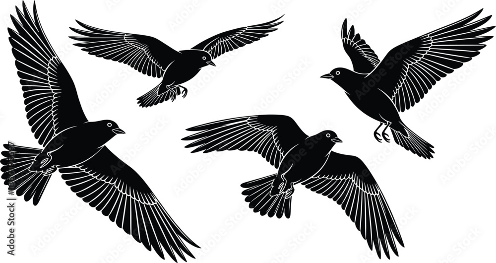 Obraz premium Black and white bird silhouettes in flight vector set featuring crows and ravens for nature and wildlife design.