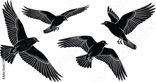 Black and white bird silhouettes in flight vector set featuring crows and ravens for nature and wildlife design.