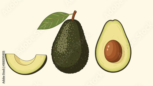 Realistic vector illustration of a dark green whole avocado along with a halved section with pit and a separate crescent slice.